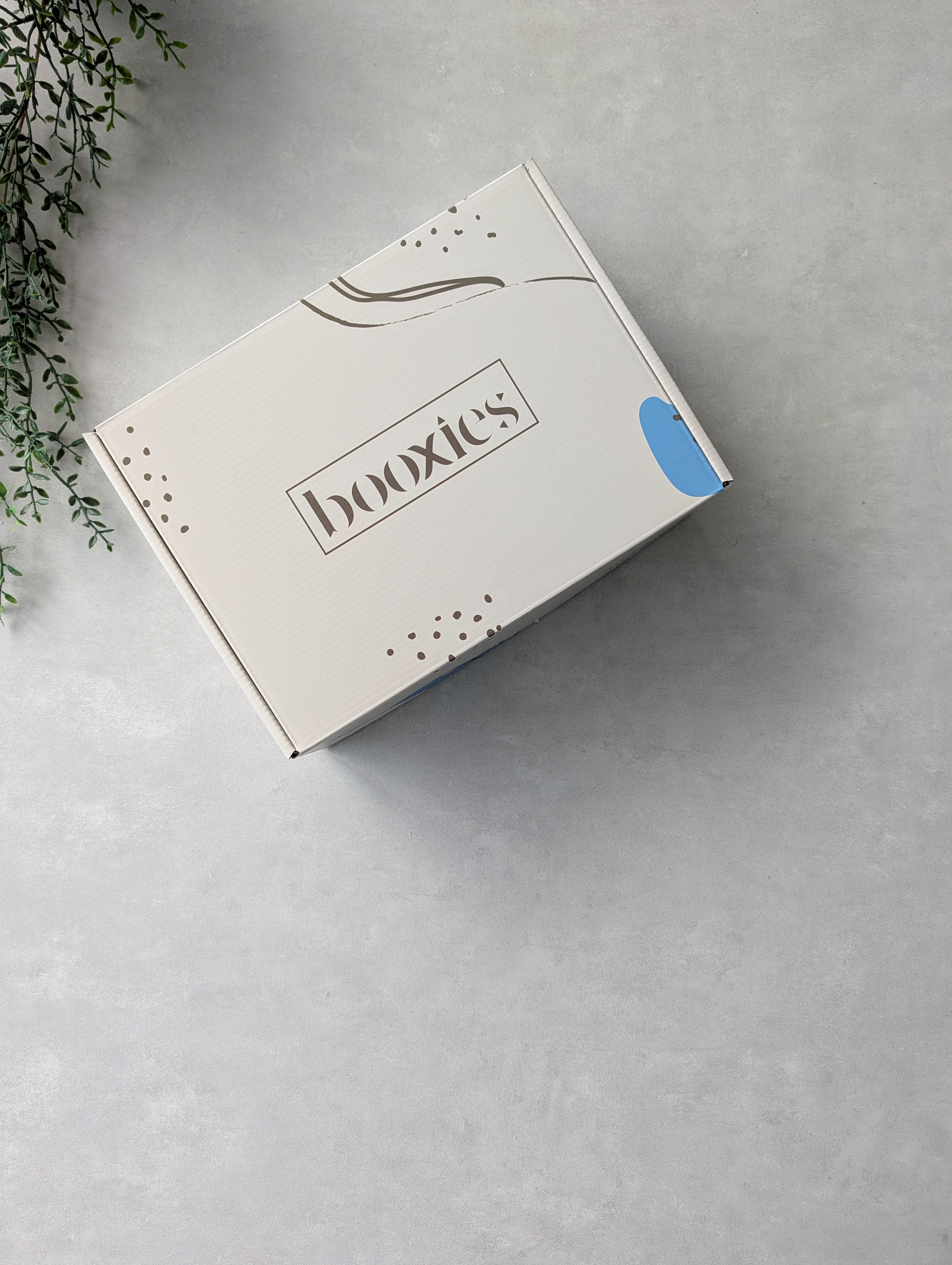 Day Light Booxies box. A white Booxies subscription box with minimalist gray line art and a small blue accent, photographed from an overhead angle on a light gray textured surface with greenery in the corner.