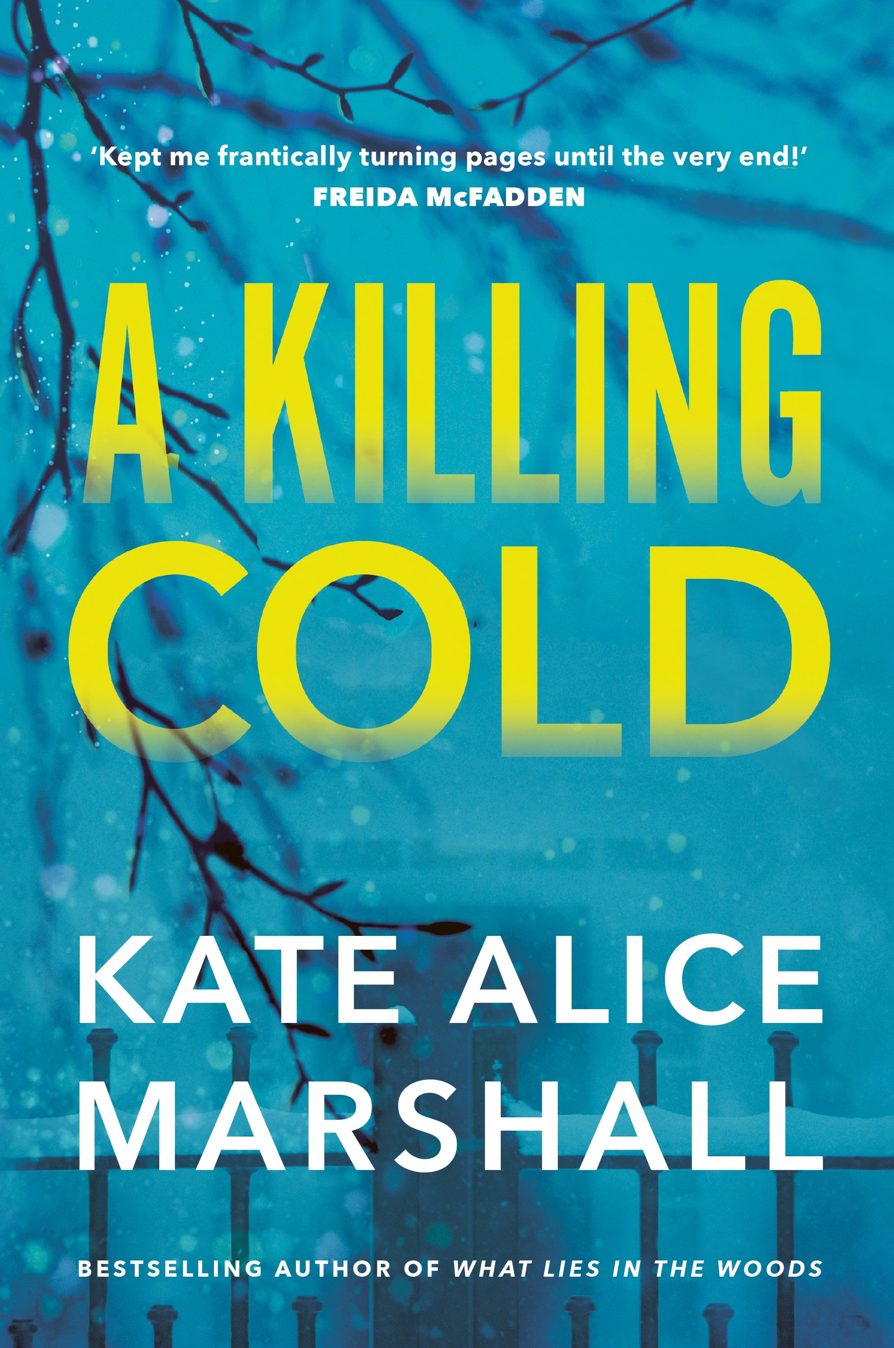 a killing cold by Kate Alice Marshall