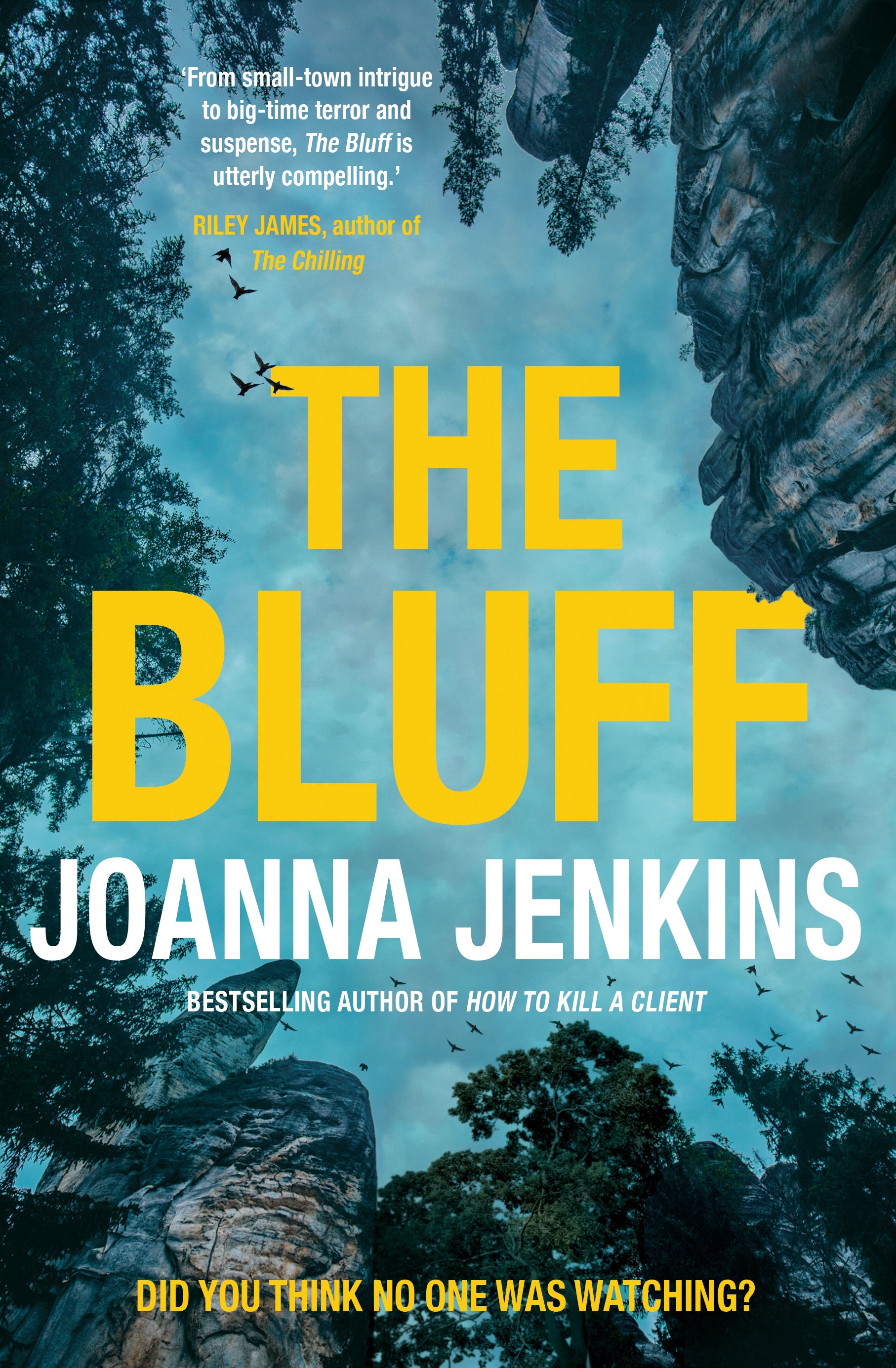 bluff by Joanna Jenkins
