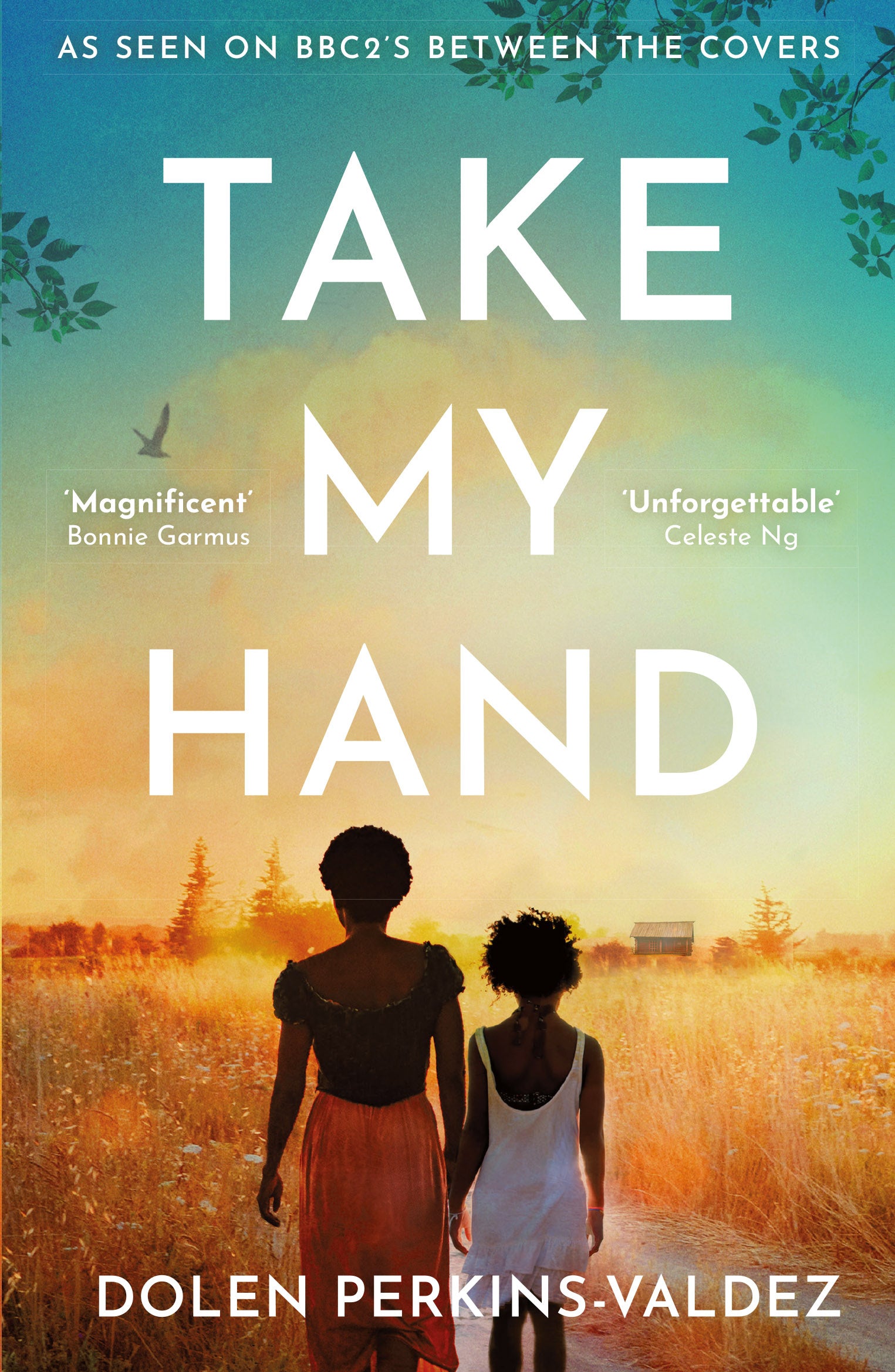 Take My Hand by Dolen Perkins - Valdez
