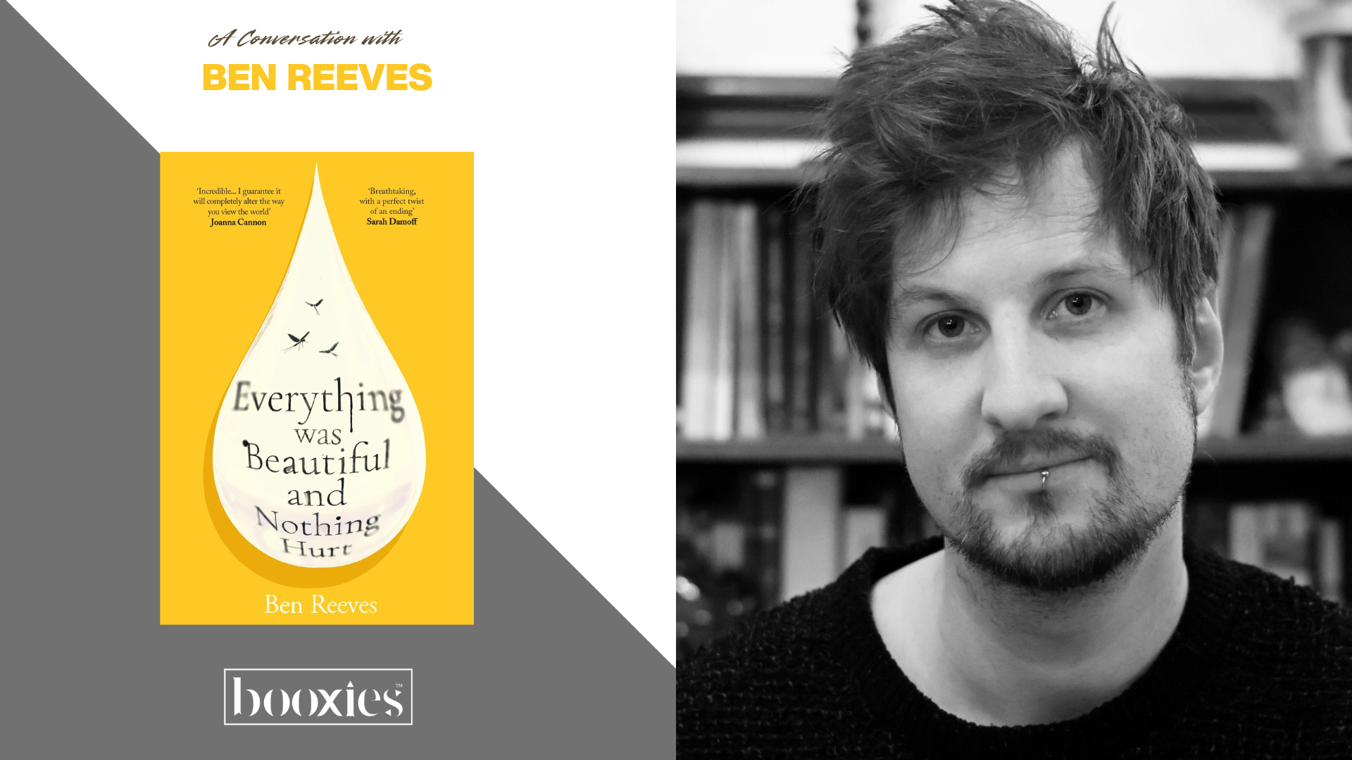 conversation with Ben Reeves author if Eveyrhing Was Beautiful and Nothing Hurt