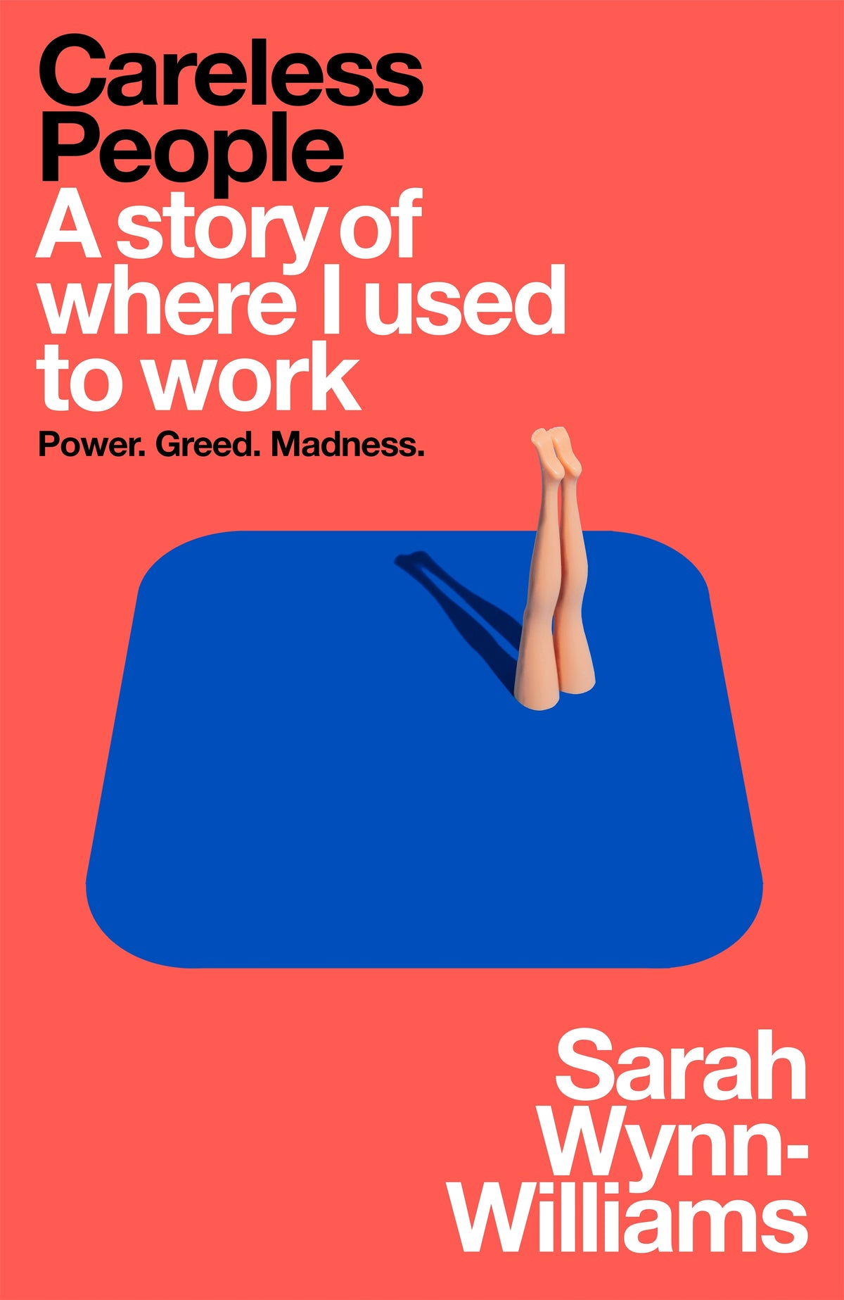 Careless People a story of where I used to work by Sarah Wynn-Williams