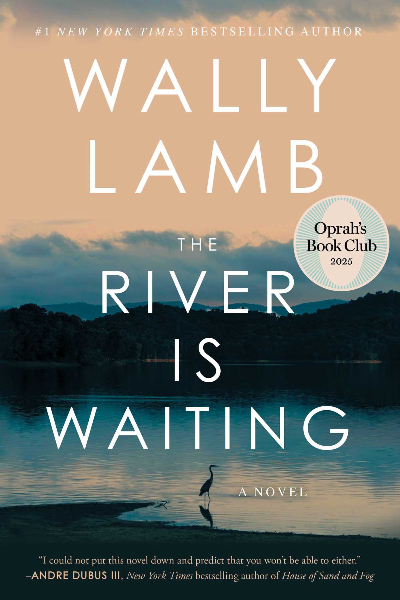 Book cover of 'The River Is Waiting' by Wally Lamb with a scenic background.