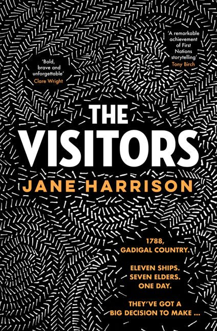 the visitors by Jane Harrison