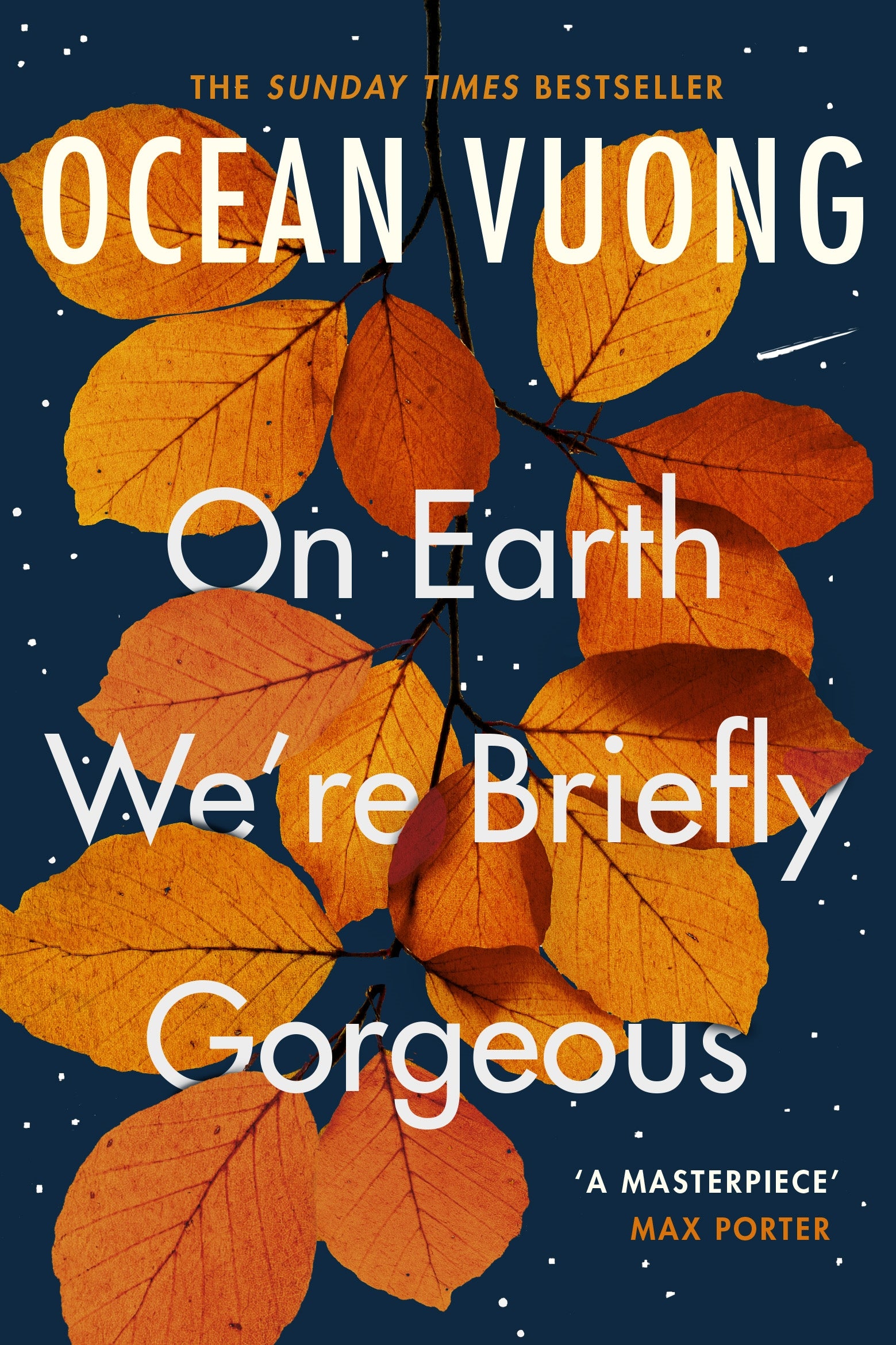 on earth we're briefly gorgeous by ocean vuong