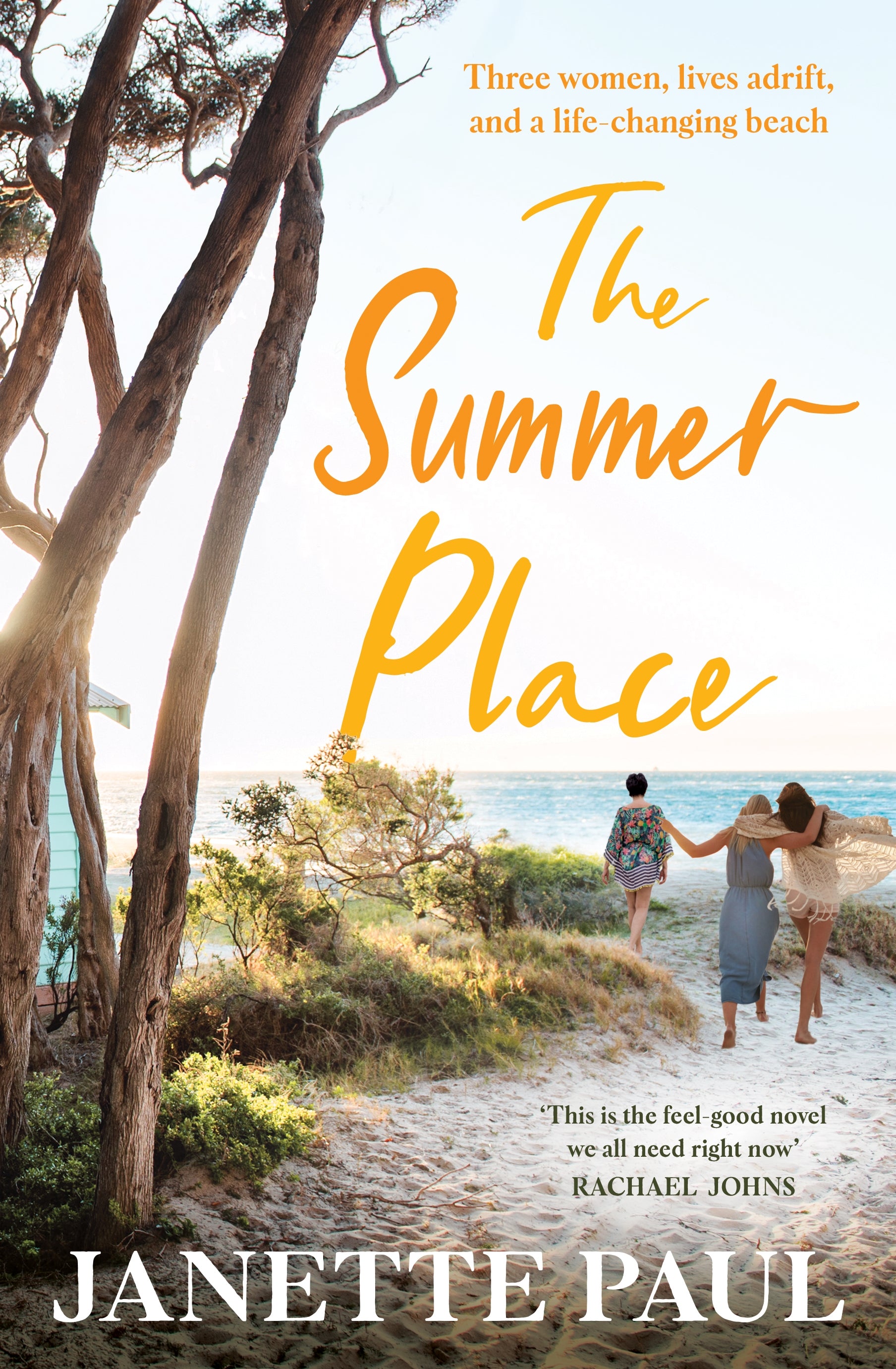 the summer place by Janette Paul